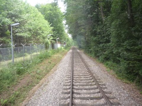 Zwischen Obergimpern und Siegelsbach Wald