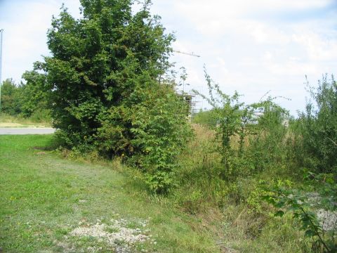 Zufahrt Umspannwerk Dormettingen