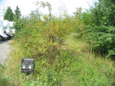 Zufahrt Umspannwerk Dormettingen