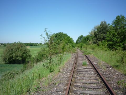 Br�cke �ber den Br�nnlesbrunnen