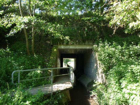 Br�cke �ber den Br�nnlesbrunnen