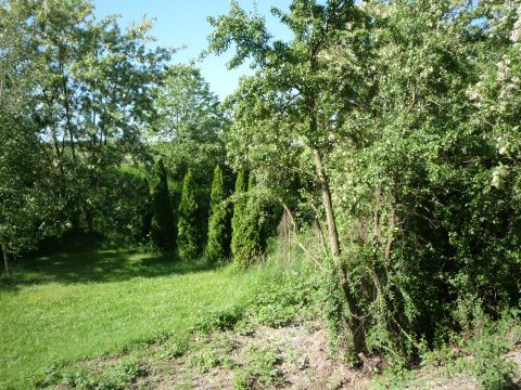 Zwischen Vaihingen Ensingen und Illingen