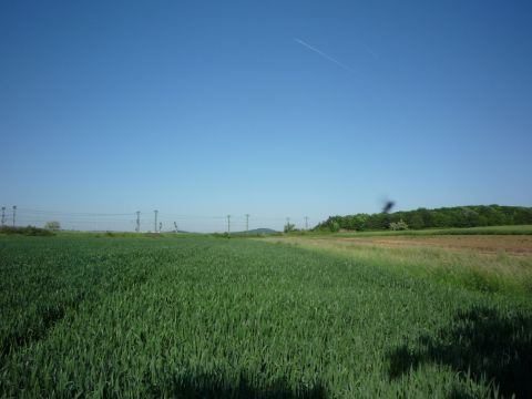 Zwischen Vaihingen Ensingen und Illingen