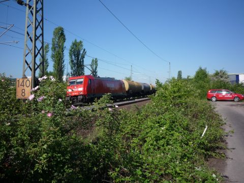 Zwischen Vaihingen Ensingen und Illingen