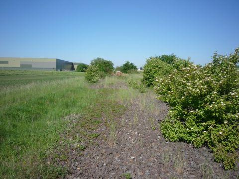 Zwischen Vaihingen Nord und Ensingen