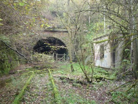 Ostportal des Forsttunnels