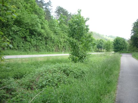 Zwischen Krautheim und Assamstadt-Horrenbach