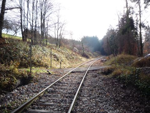 Bahnbergang zwischen Laufenmhle-Viadukt und Breitenfrst
