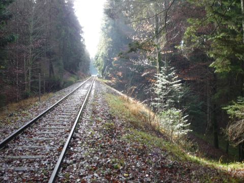 Zwischen Laufenmhle und Breitenfrst