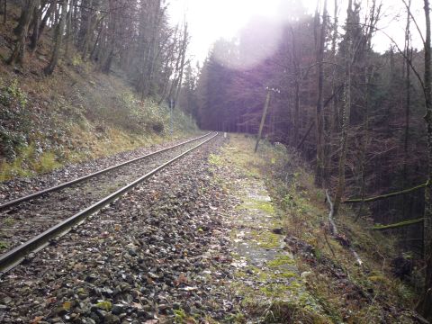 Zwischen Strmpfelbach-Viadukt und Laufenmhle