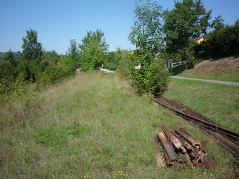 Einfahrt in den Bahnhof Bieberehren