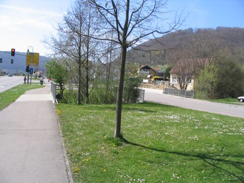 Brcke ber den Hartel